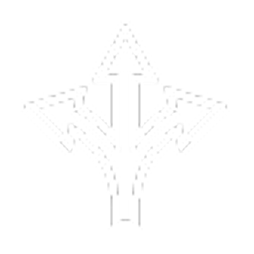 icon_choice2 copy 1